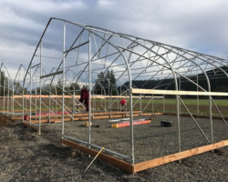 Green house structure