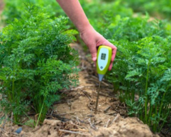 soil treatment company in haryana