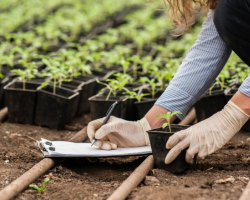 soil treatment company in haryana