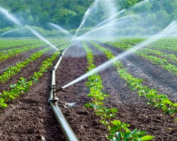 Hi-tech irrigation company in Haryana