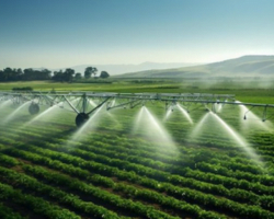 Hi-tech irrigation company in Haryana