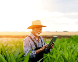 Government subsidy assistance in haryana