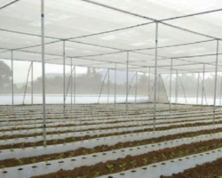 Net house with purlin company in haryana