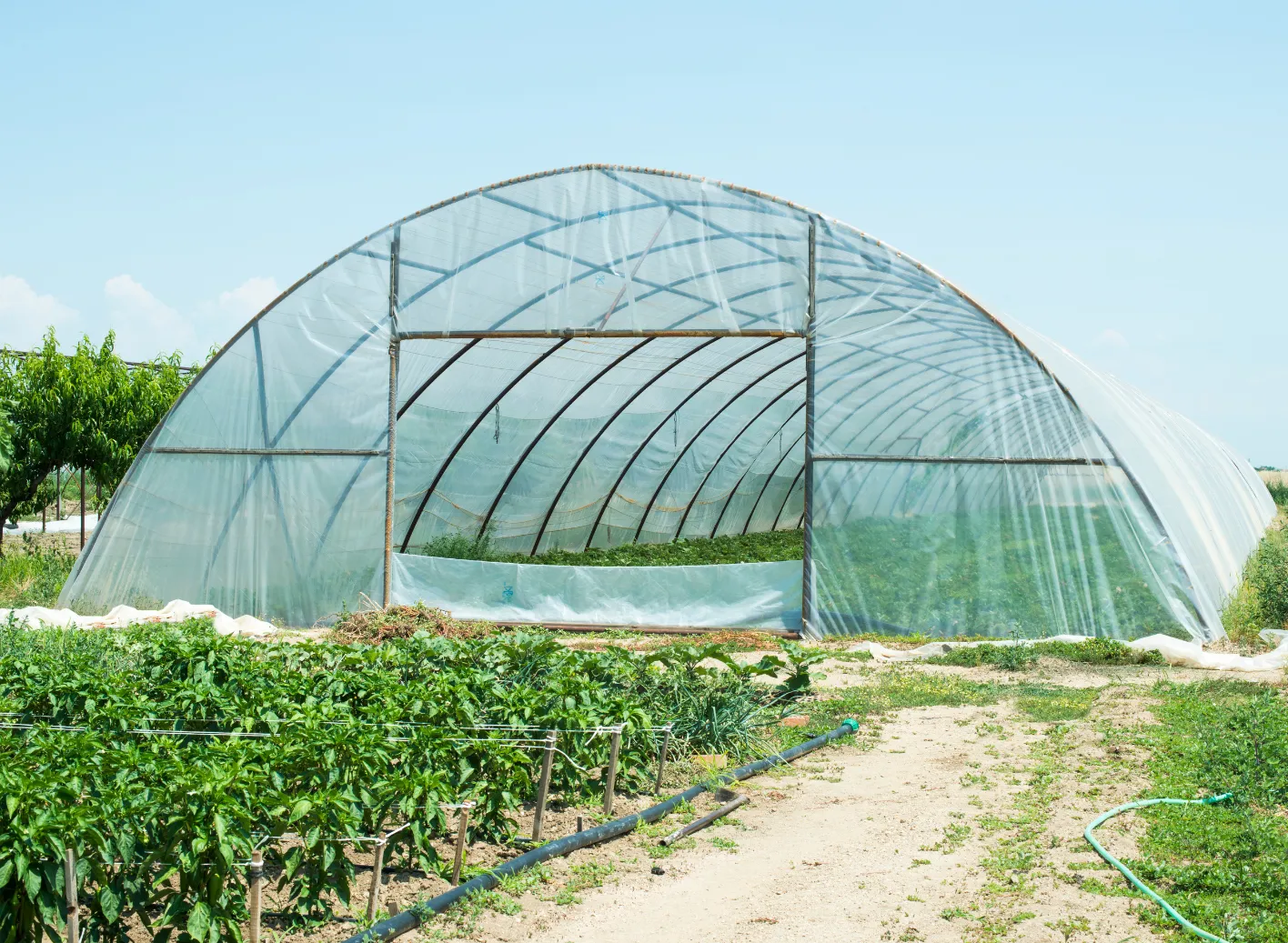 Green house structure