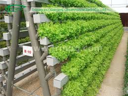hydroponics service in Haryana