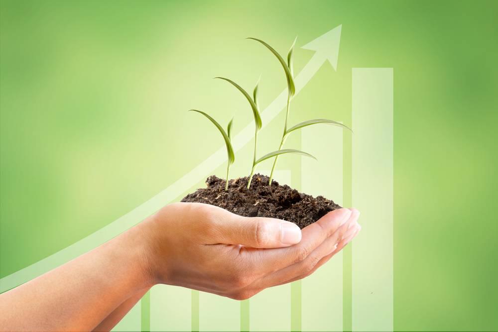 Government subsidy assistance in haryana, Poly House Farming