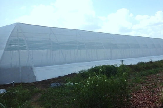 Net House with Cable Purlin,