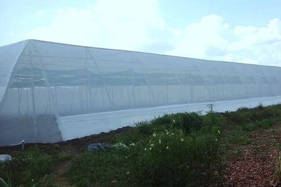 Net House with Cable Purlin,