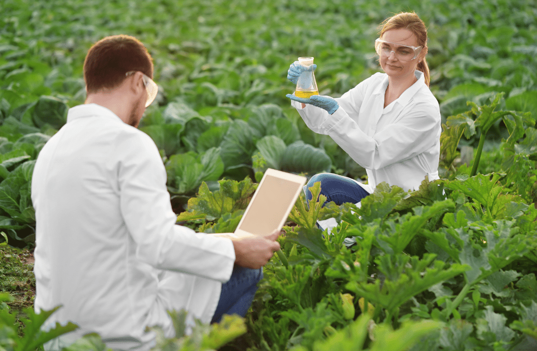 agronomy services