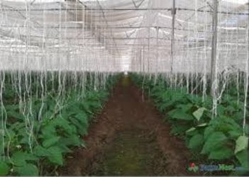 Pioneer Agritech Solutions