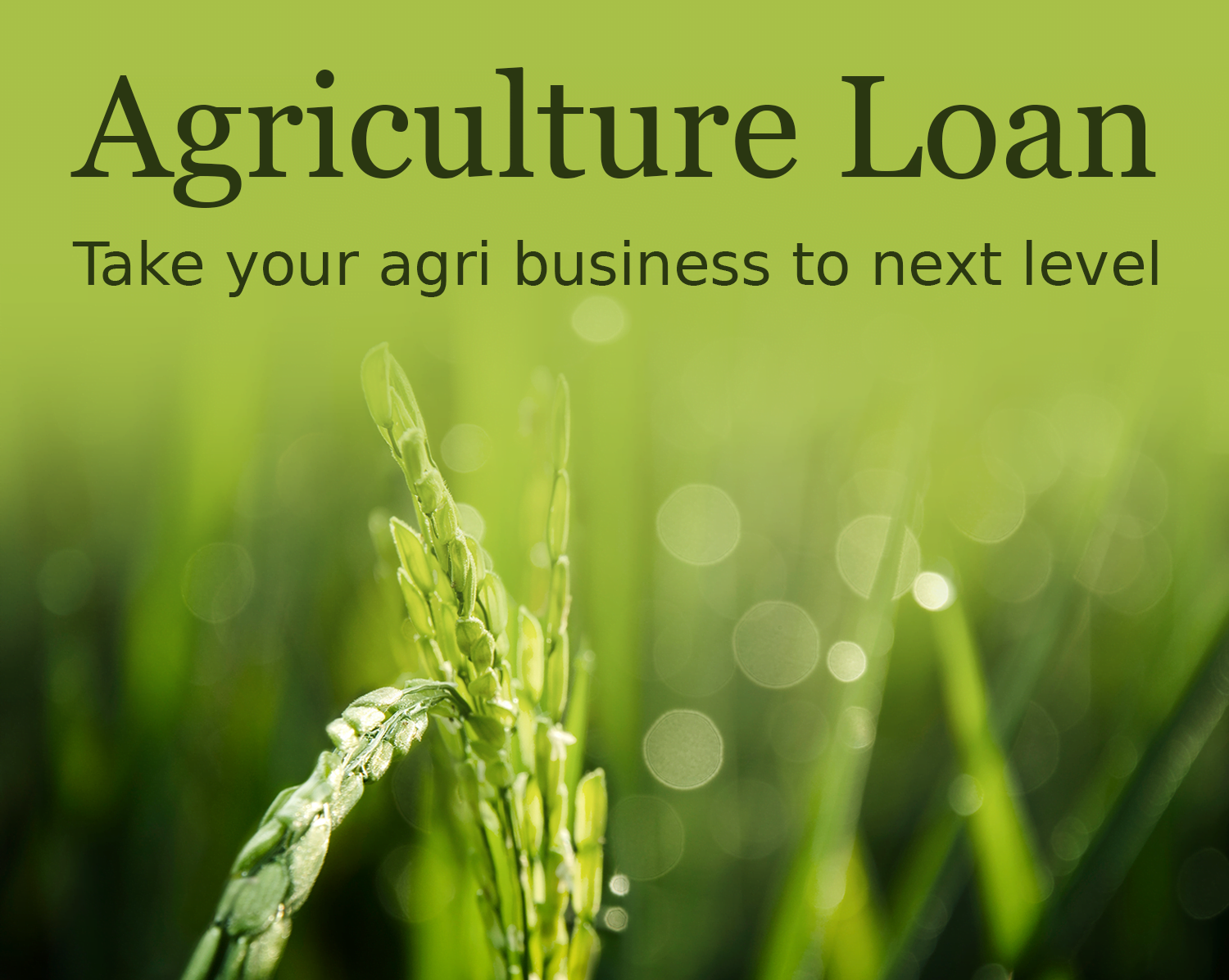 Top bank finance company in haryana