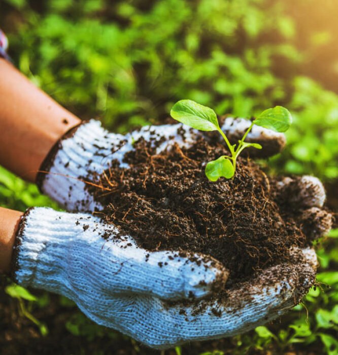 Best poly house company in Haryana