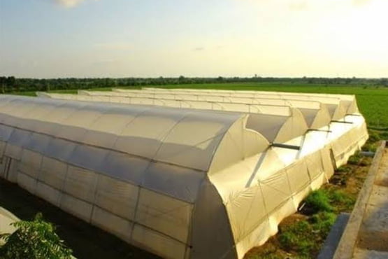 Poly House subsidy in haryana