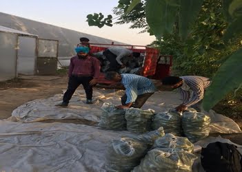 Pioneer Agritech Solutions